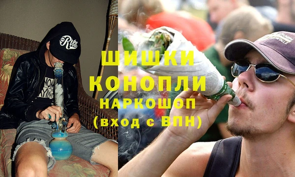 стаф Вязники