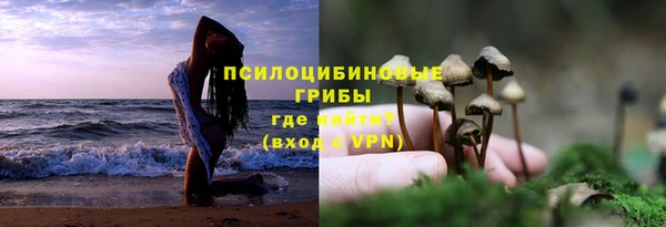 метадон Магас