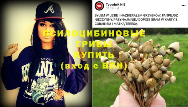 МДПВ Магадан