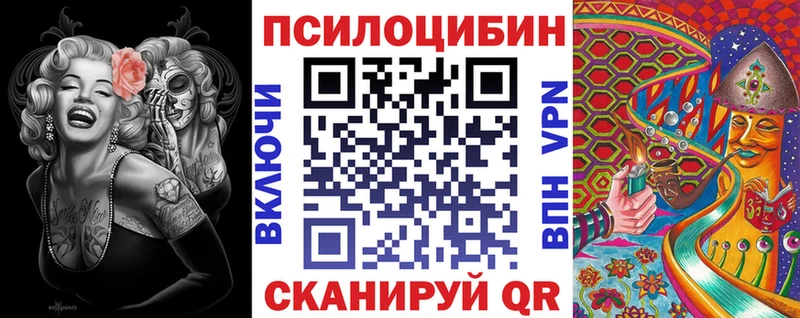 Галлюциногенные грибы Cubensis  OMG   Магас  сколько стоит 